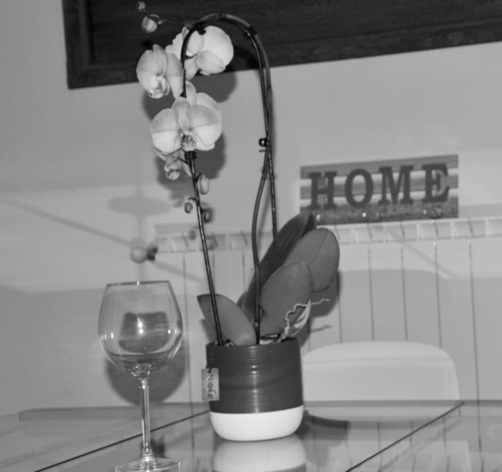 Brand New Apartment Florencie Exteriér fotografie